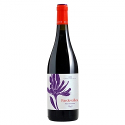 Vinho tinto jovem de León