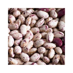 Fagiolo dipinto sacco 5kg