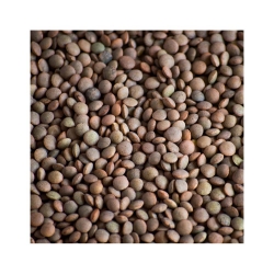 Lenticchia pardine sacco 5kg