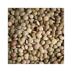 Lentilha castellana saco 5kg