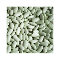 Feijão verdina 1kg