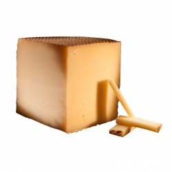 Queijo de ovelha curado em...