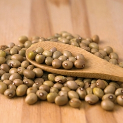 Fagioli Roxa Asturiani 5kg