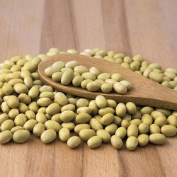 Feijão Canário Amarelo 5kg