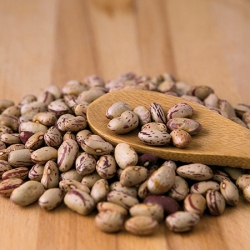 Fagioli Pinta Spagna 5kg