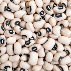 Fagioli Carilla 5kg