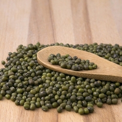 Soja Verde 5kg