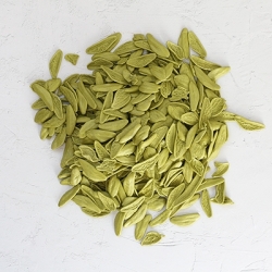 Spinat-Foglie 4Kg