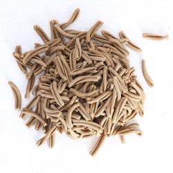 Bio-Linsen-Strozzapreti 3.5Kg