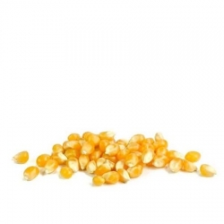 Popcorn-Mais 5Kg