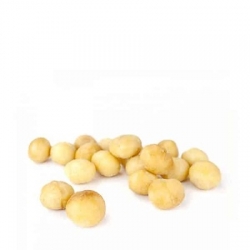 Macadâmia crua 5Kg