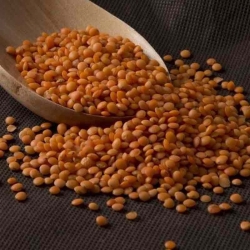 Lenticchie Parda (Crimson) 5kg