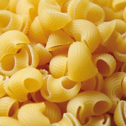 Macarrones Caracol o...