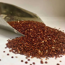 Quinoa vermelha 5Kg
