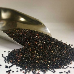 Quinoa preta 5Kg