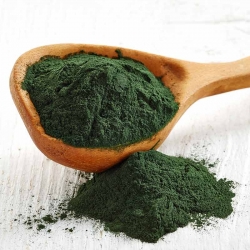Spirulina Bio 2.5Kg