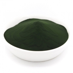 Chlorella bio 1Kg