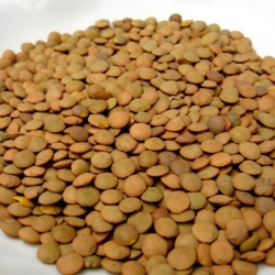Lenticchia Eston 5kg